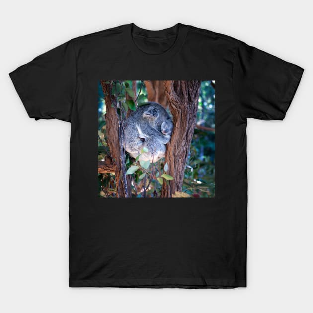 Koala and baby T-Shirt by Bevlyn